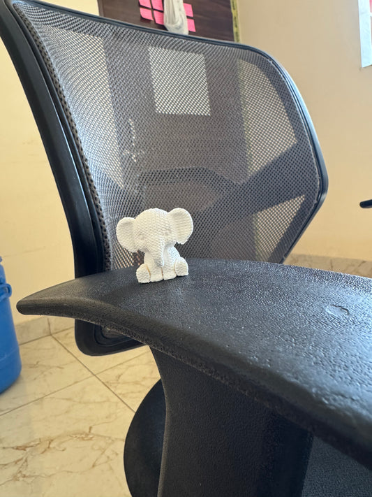 Cute elephant