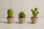 Mini Cactus & Succulent Decorative Storage Pots
