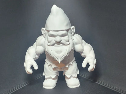 Garden Gnome (Ripped)