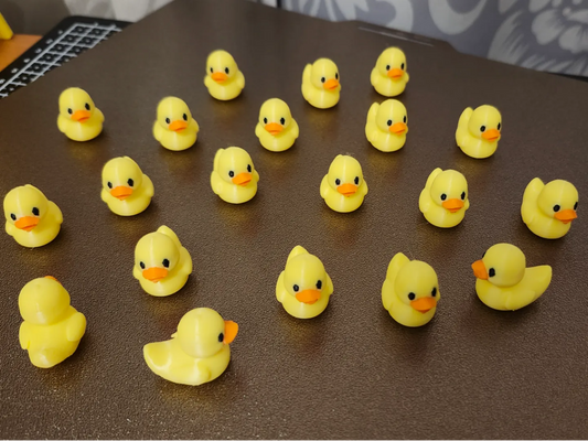 Mini duck