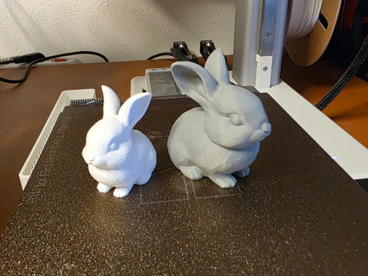 Hase