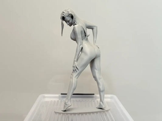 Bikini Girl - Elegant Female Figure