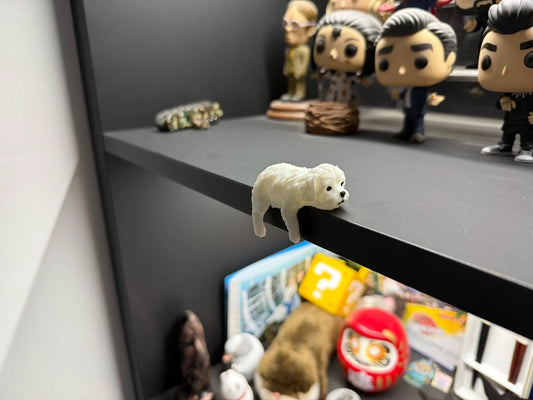 Sleepy Maltese - Monitor Buddy