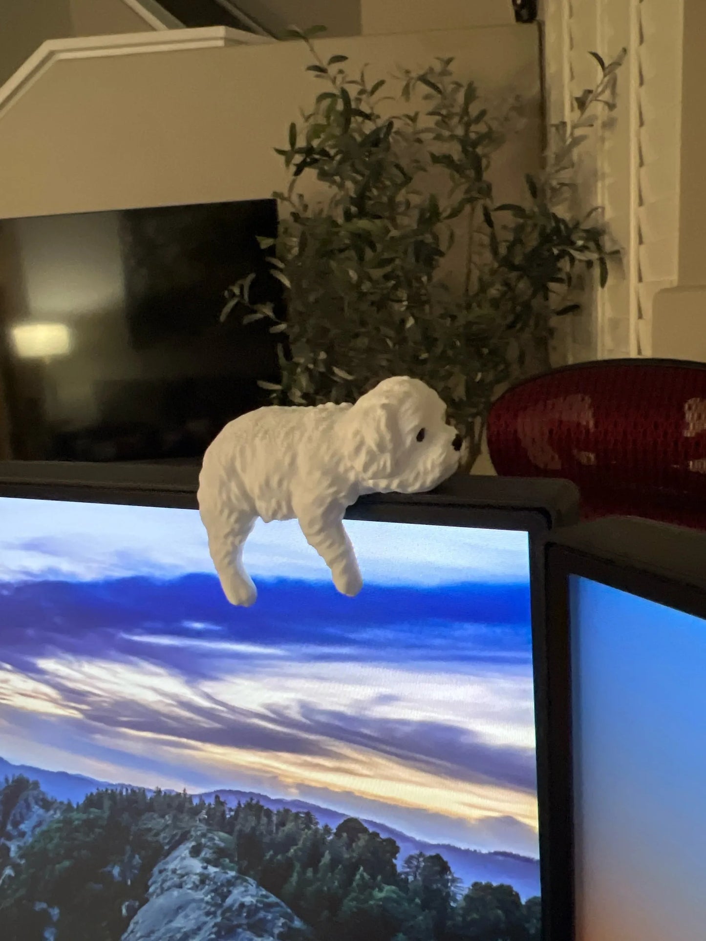 Sleepy Maltese - Monitor Buddy